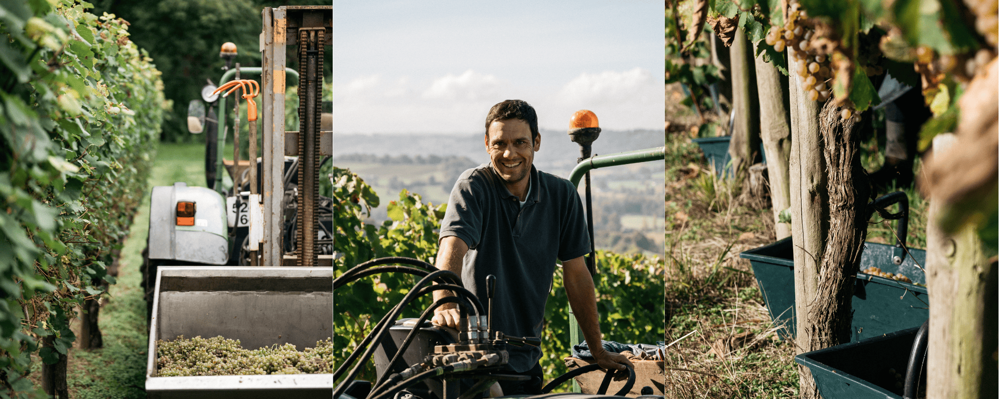 DOMAINE BARRÈRE